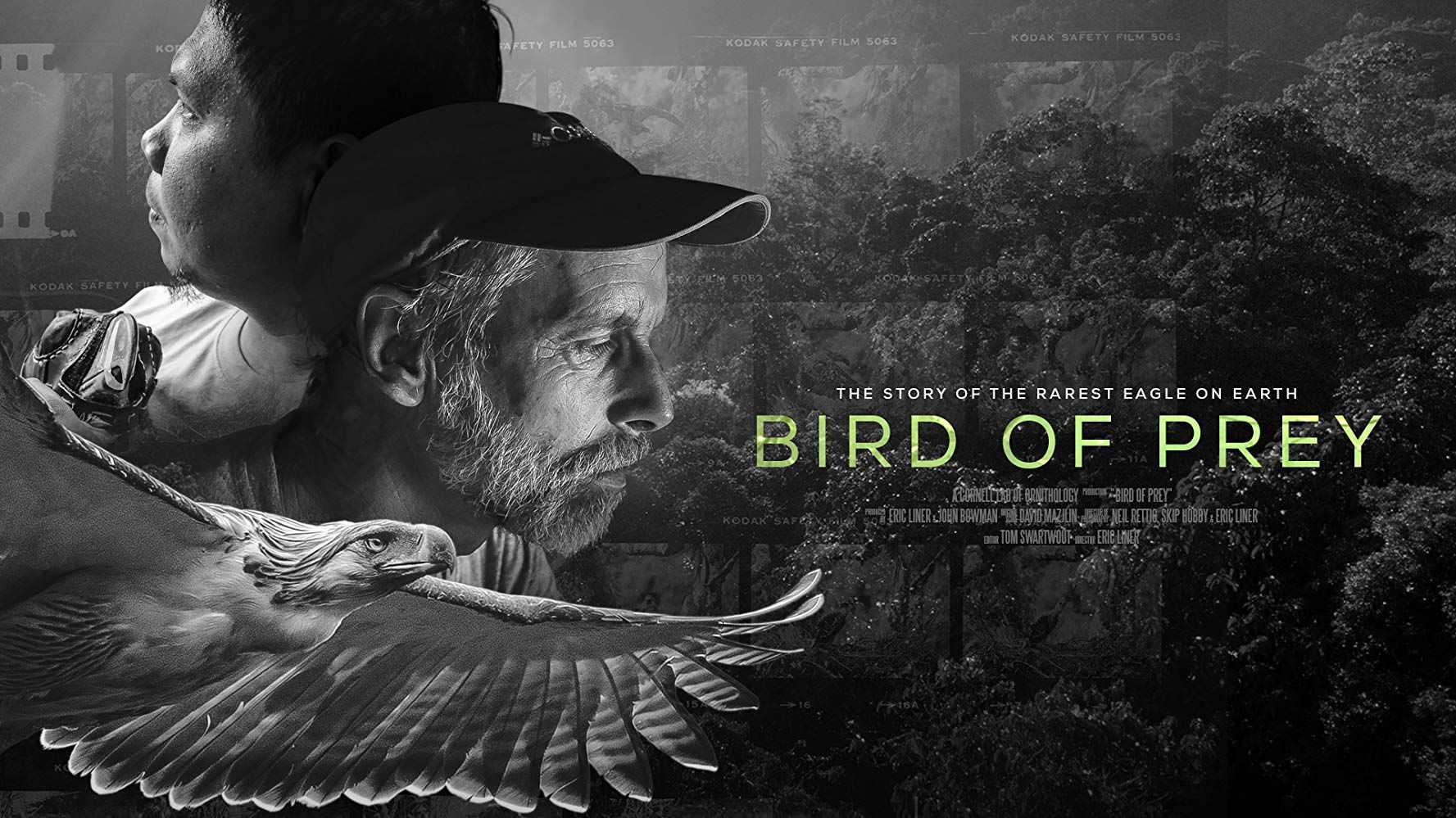Bird of Prey RBE.jpg